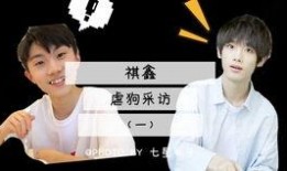 男团采访爆料视频完整版,独家采访完整版深度解析