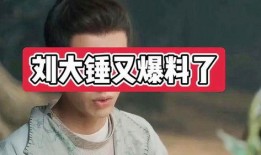 刘大锤爆料真假视频播放,真假视频播放，真相究竟如何？